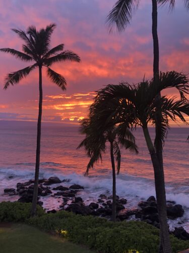 Send your best photos from Maui County to mauiphotos@mauinews.com for a chance to see them featured on our website and in our weekly print edition.  